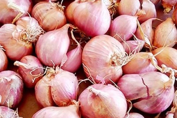 Ссылка официальный сайт кракен