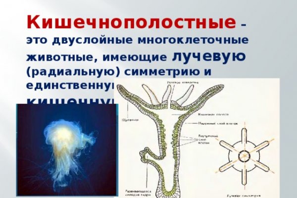 Линк кракена