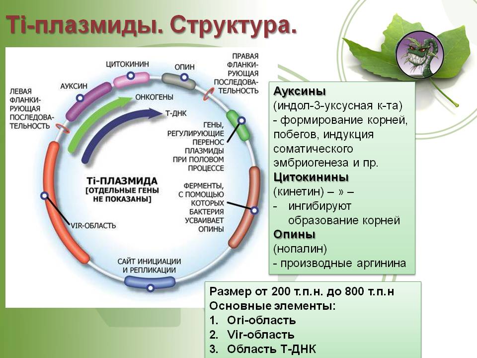 Восстановить аккаунт на кракене